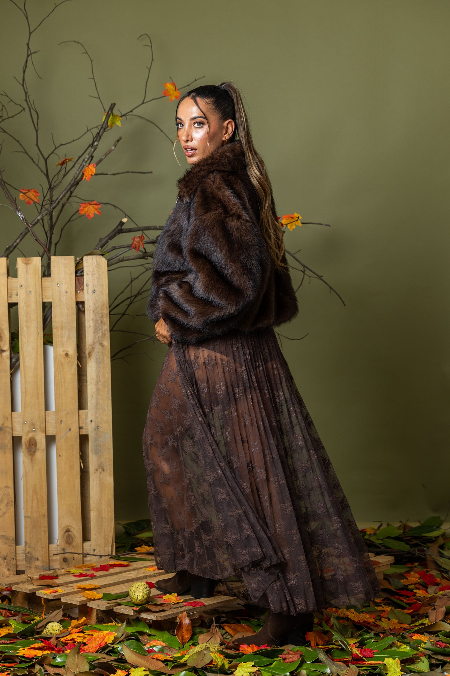 Saia Élégance Lumina