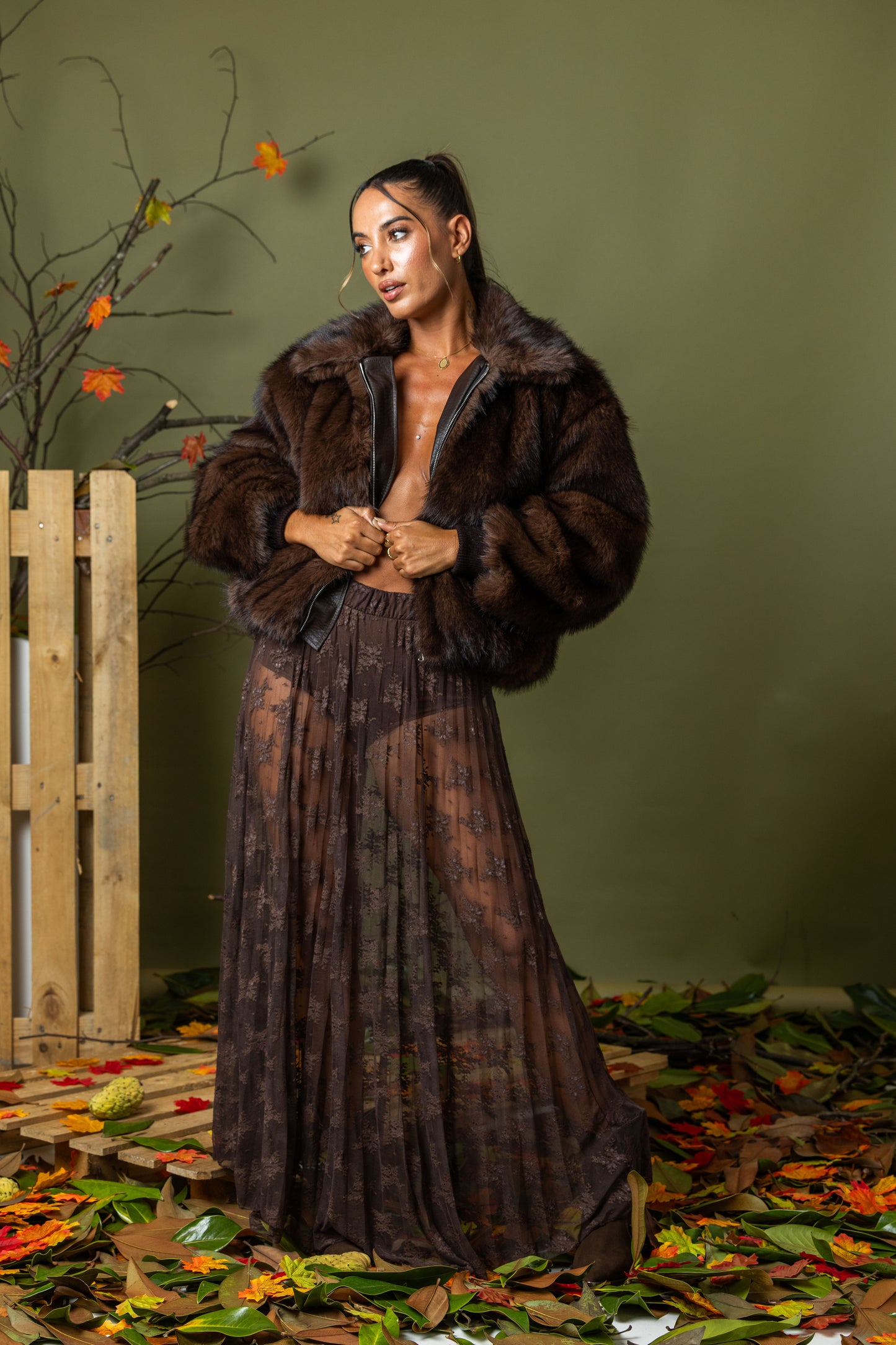 Saia Élégance Lumina