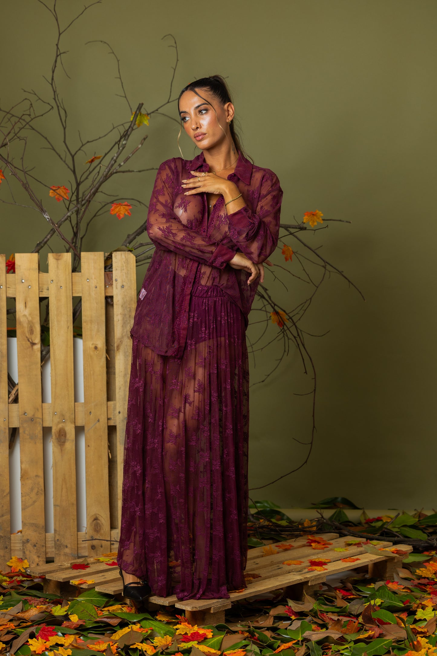 Saia Élégance Lumina