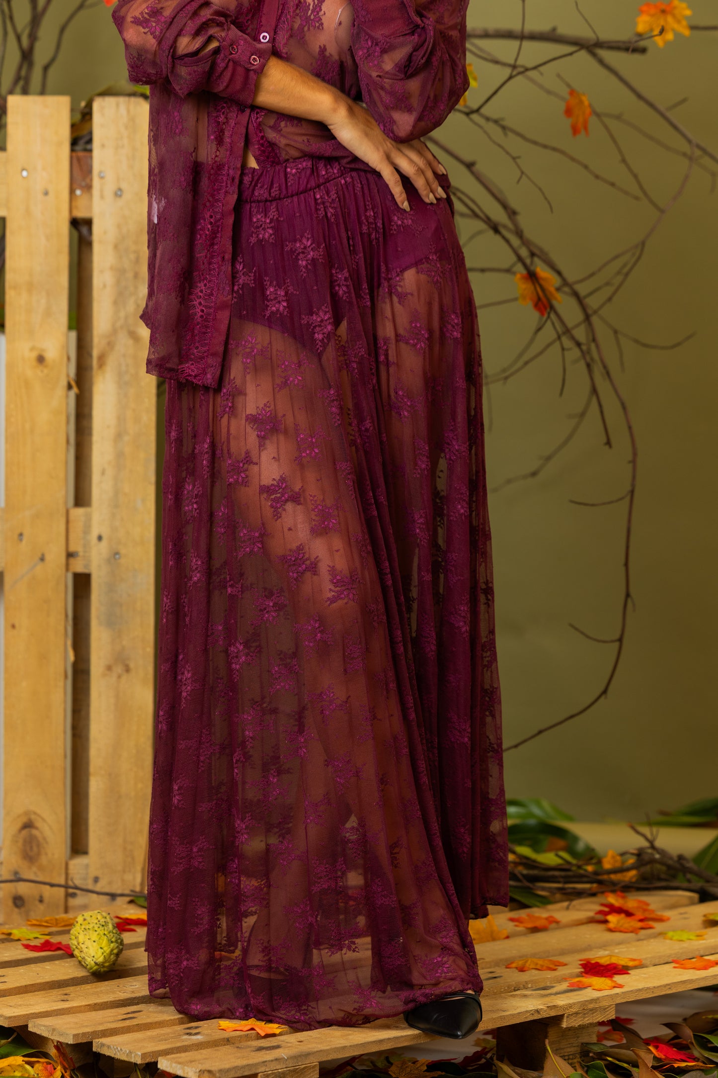 Saia Élégance Lumina